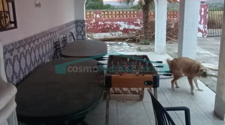 Valencia - Villamarchante - 959m2
