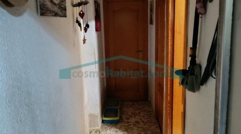 Valencia - Villamarchante - 959m2