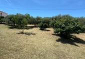 Terreno con Almacén en venta en la España, Campo-Mijas, ref: TR411399 foto