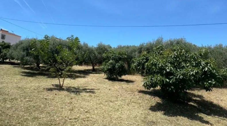 Малага - Campo-Mijas - 4900m2
