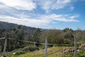 Villaviciosa 476&nbsp;m²