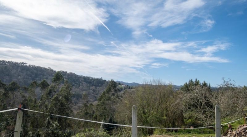 Asturias - Villaviciosa - 476m2