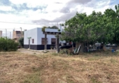 Xalet independent amb terreny en venda a la España, Múrcia, ref.: TR411413 foto