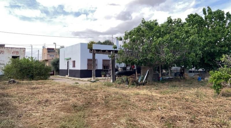 Murcia - Murcia - 1300m2