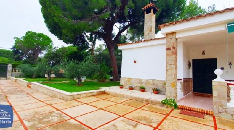 Cádiz - Jerez de la Frontera - 2645m2