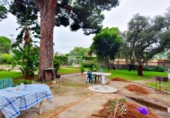 Xalet independent amb terreny en venda a la España, Jerez de la Frontera, ref.: TR152134 foto