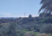 Finca rústica en venda a la España, San Juan de los Terreros, ref.: TR354753 foto