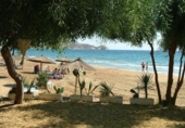Finca rústica en venda a la España, San Juan de los Terreros, ref.: TR354753 foto