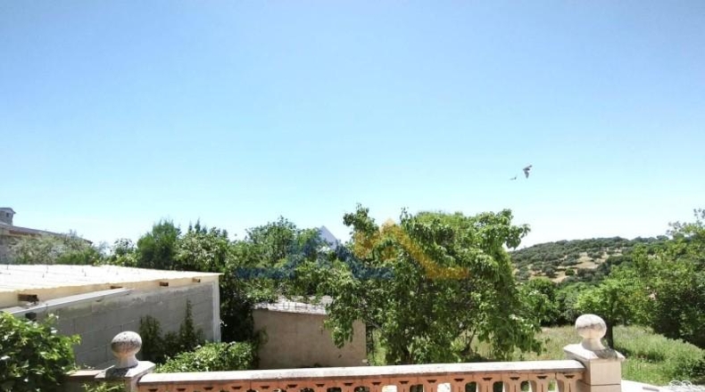 Comunidad de Madrid - Villa del Prado - 700m2