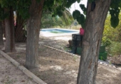 Casa de camp amb terreny en venda a la España, Redovà, ref.: TR411424 foto