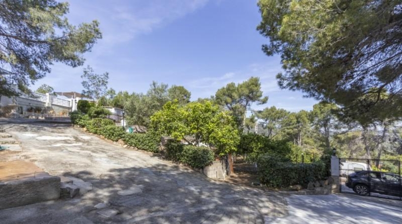 Valencia - Albalat dels Tarongers - 1384m2