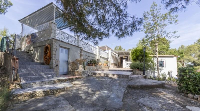 Valencia - Albalat dels Tarongers - 1384m2