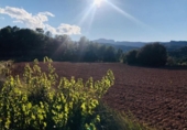 House with land for sale on España, Sant Llorenç Savall, ref: TR297395 photo