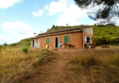 House with land for sale on España, Sant Llorenç Savall, ref: TR297395 photo
