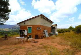 Foto 12