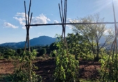 House with land for sale on España, Sant Llorenç Savall, ref: TR297395 photo