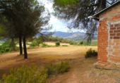 House with land for sale on España, Sant Llorenç Savall, ref: TR297395 photo