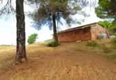 House with land for sale on España, Sant Llorenç Savall, ref: TR297395 photo