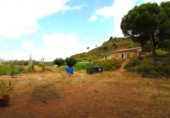 House with land for sale on España, Sant Llorenç Savall, ref: TR297395 photo