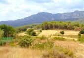 House with land for sale on España, Sant Llorenç Savall, ref: TR297395 photo