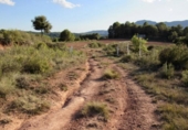House with land for sale on España, Sant Llorenç Savall, ref: TR297395 photo