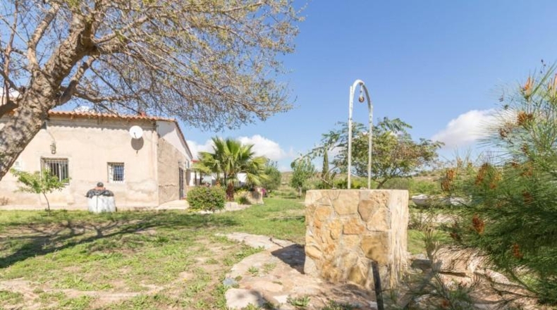 Murcia - Cartagena - 2600m2