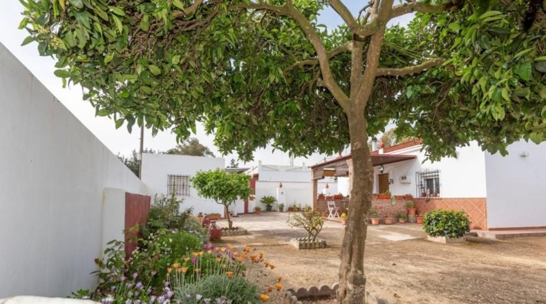 Cádiz - Vejer de la Frontera - 841m2