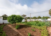 Casa de camp amb terreny en venda a la España, Vejer de la Frontera, ref.: TR402631 foto