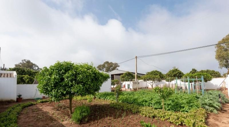 Cádiz - Vejer de la Frontera - 841m2