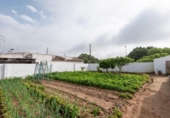 Casa de camp amb terreny en venda a la España, Vejer de la Frontera, ref.: TR402631 foto