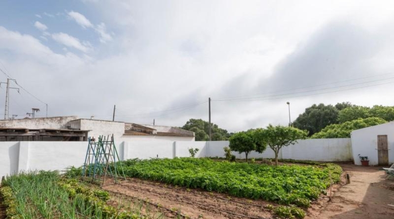 Cádiz - Vejer de la Frontera - 841m2