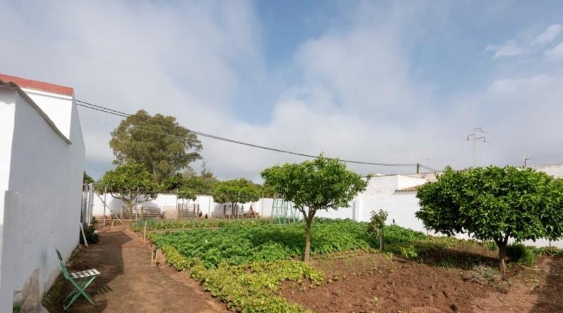 Cádiz - Vejer de la Frontera - 841m2
