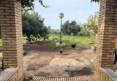 Detached villa with land for sale on España, Gibraleón, ref: TR236527 photo