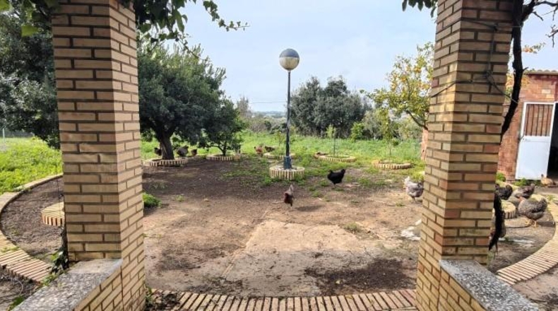 Huelva - Gibraleón - 53805m2