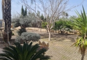 Xalet independent amb terreny en venda a la España, Elx, ref.: TR355360 foto