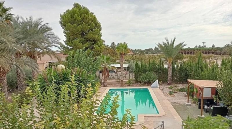 Alicante - Elche - 2300m2