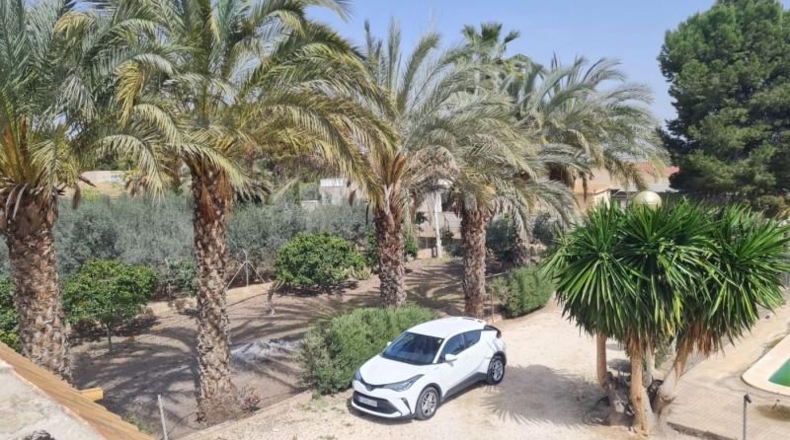 Alicante - Elche - 2300m2
