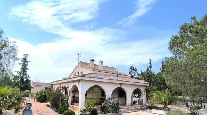 Murcia - Yecla - 5000m2