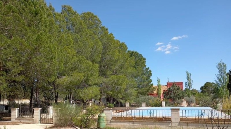 Murcia - Yecla - 5000m2