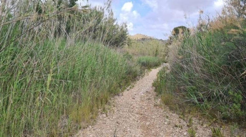 Murcia - Abanilla - 366454m2