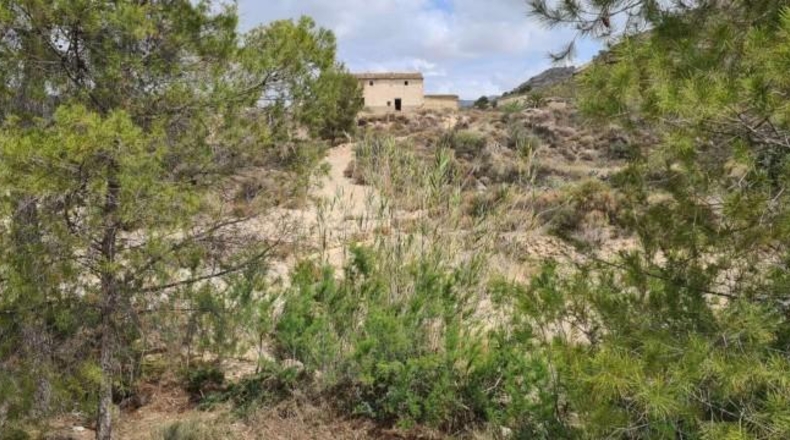 Murcia - Abanilla - 366454m2