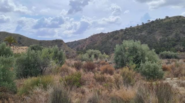 Murcia - Abanilla - 366454m2