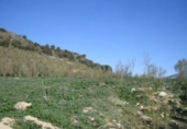Parcel·la urbanitzable en venda a la España, Atarfe, ref.: TR244283 foto