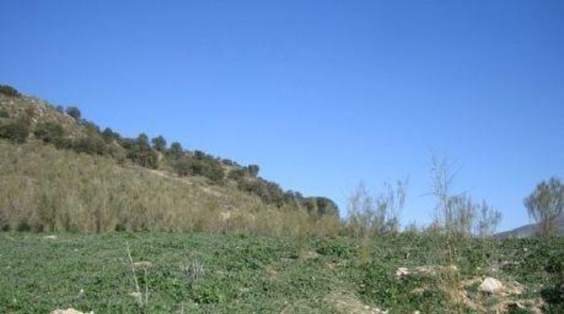 Granada - Atarfe - 171184m2