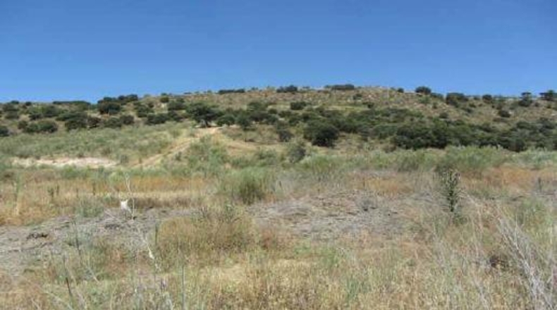 Granada - Atarfe - 171184m2