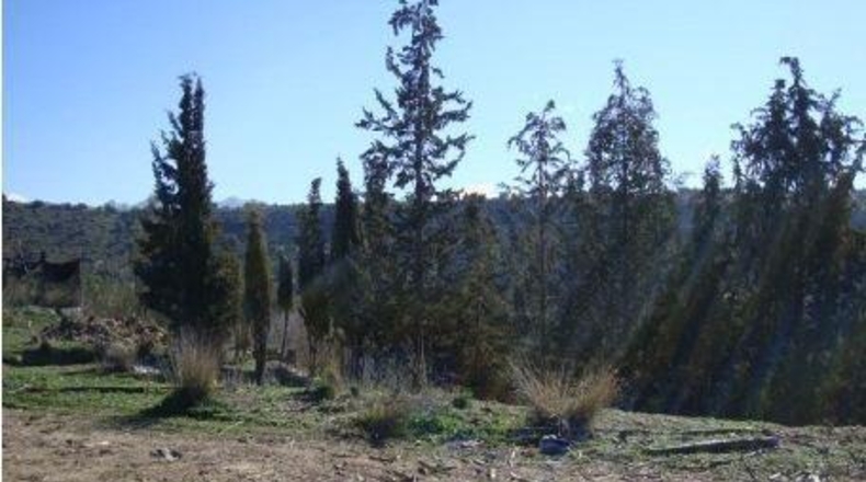 Granada - Atarfe - 171184m2