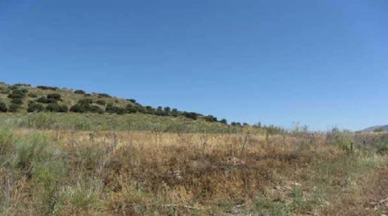 Granada - Atarfe - 171184m2