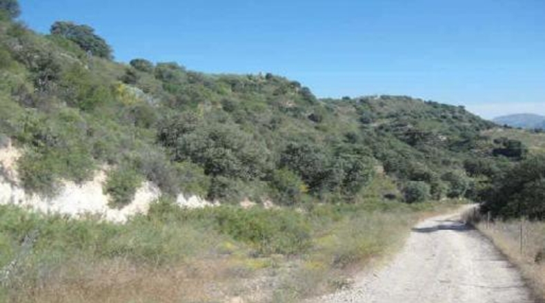 Granada - Atarfe - 171184m2