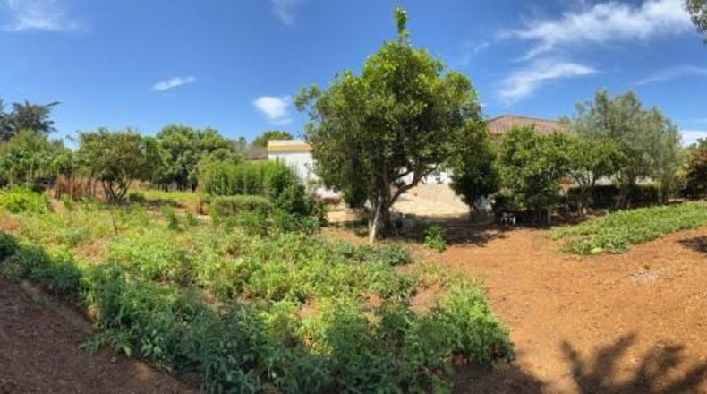 Cadiz - Chiclana de la Frontera - 2400m2