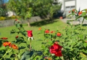 Загородный дом с участком на продажу в городе Renedo de Piélagos Фото